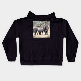 African Elephants, Serengeti National Park, Tanzania. Kids Hoodie